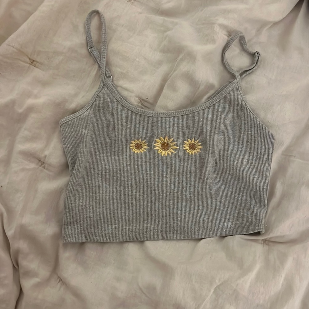 hollister tank